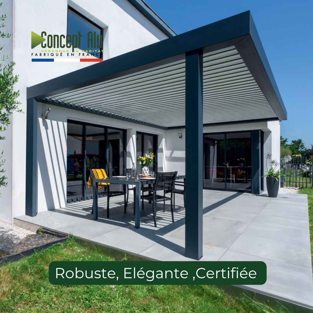 Pergola adossée édition limitée 3450x5010