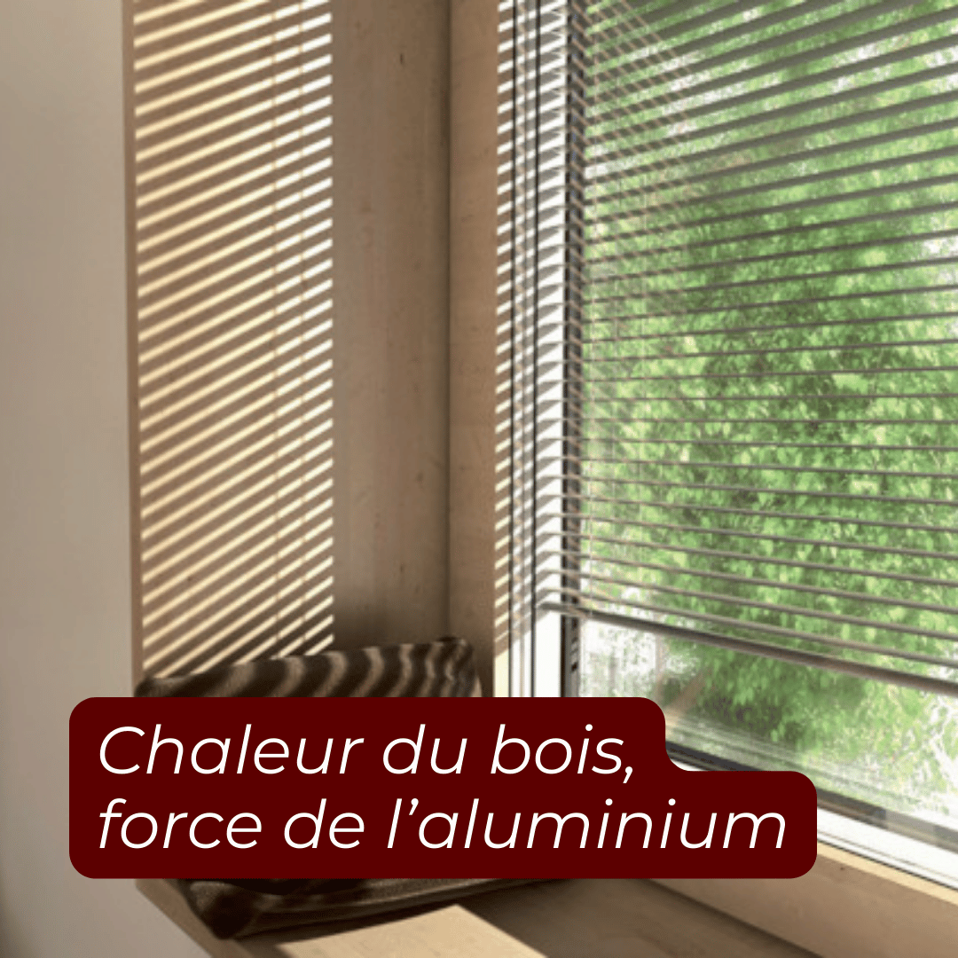Fenêtre bois alu internorm