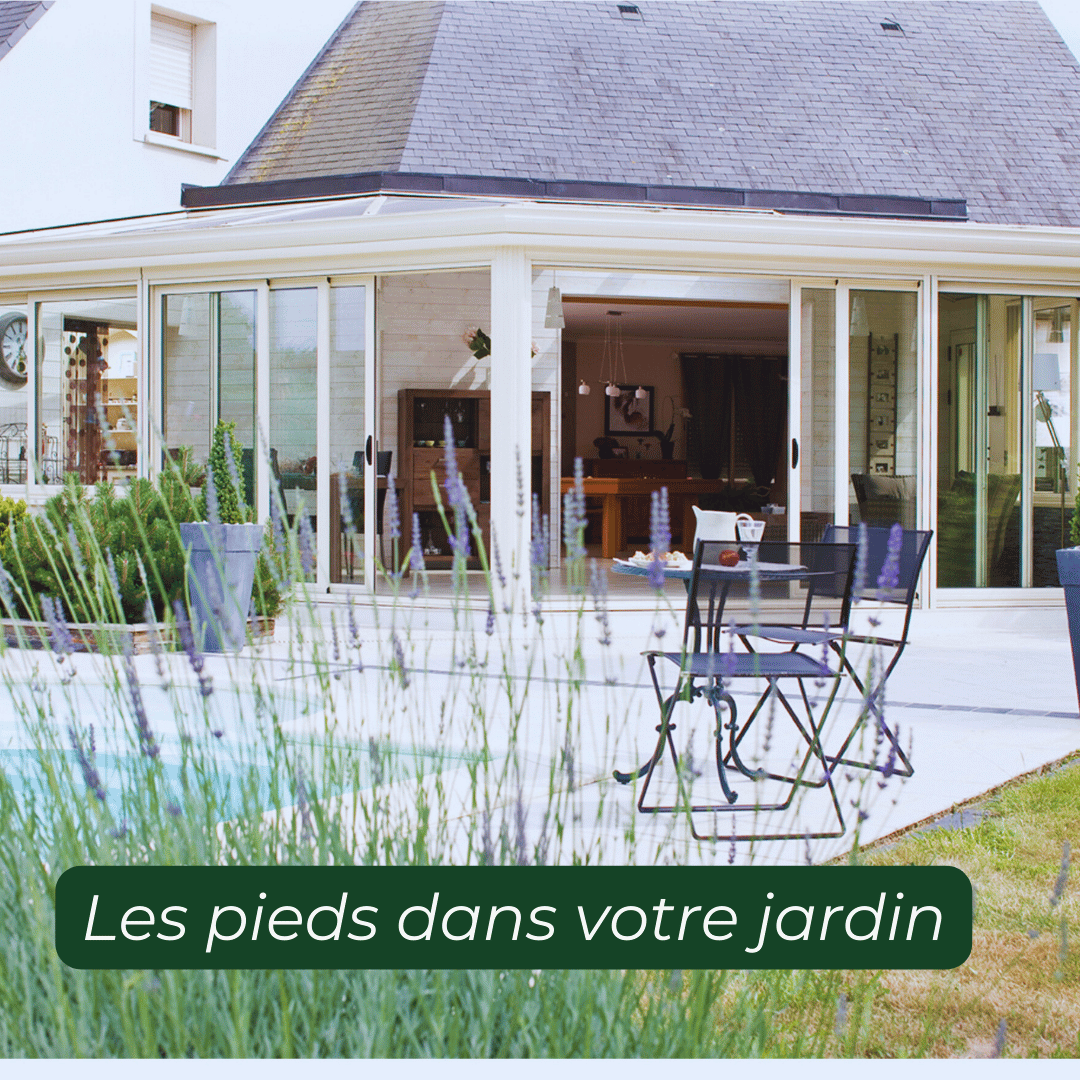 Véranda blanche moderne ouverte sur jardin avec des plants de lavande